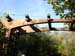 Decking & Landscaping