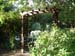 Decking & Landscaping