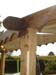 Decking & Landscaping
